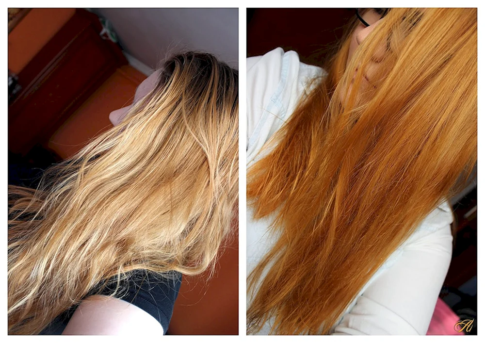 Garnier Olia 8. 43