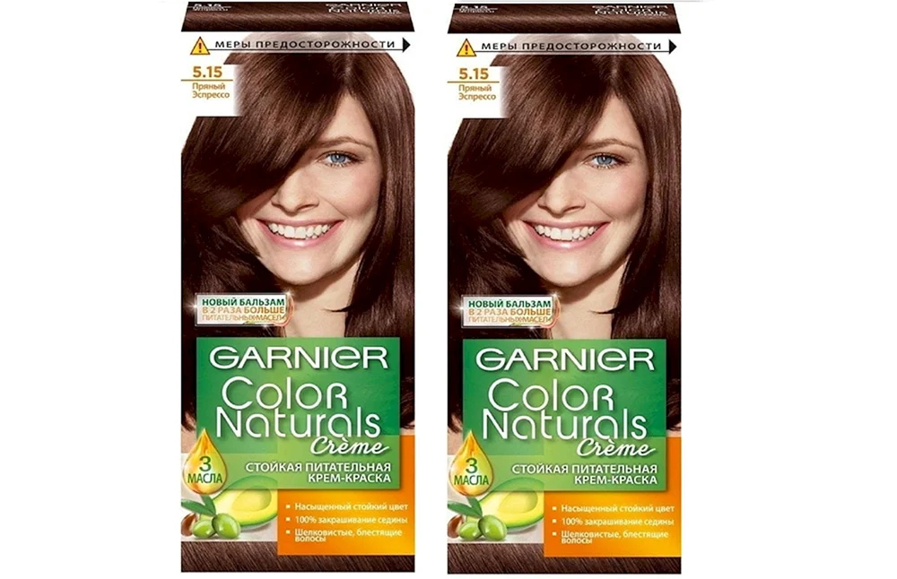 Garnier 5.23 Spicy Chestnut