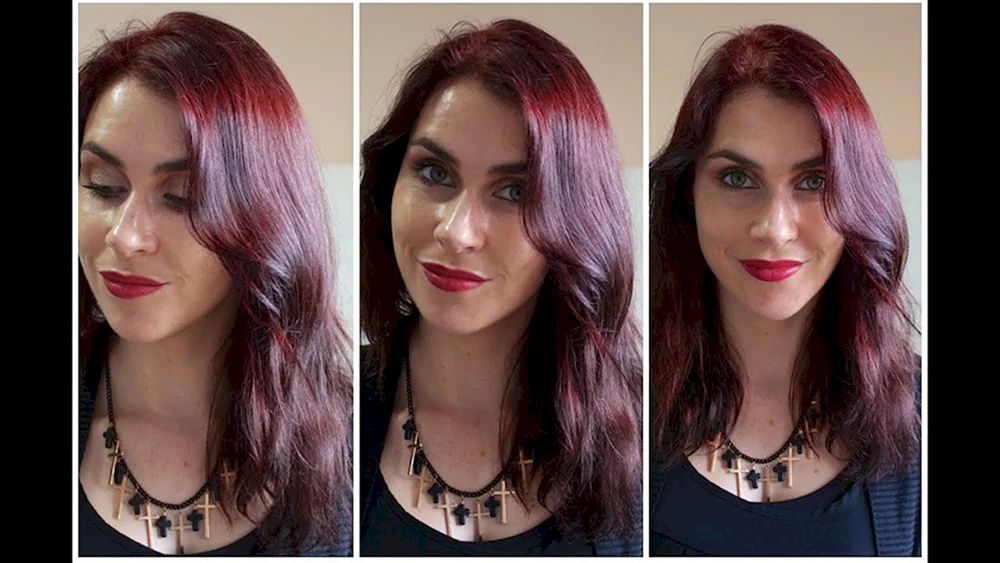 Garnier 3. 16 amethyst