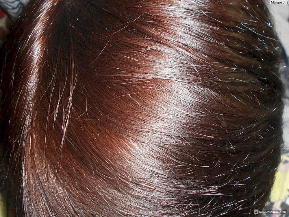 Garnier Farbe naturals blond opal Haarfärbemittel 5.51