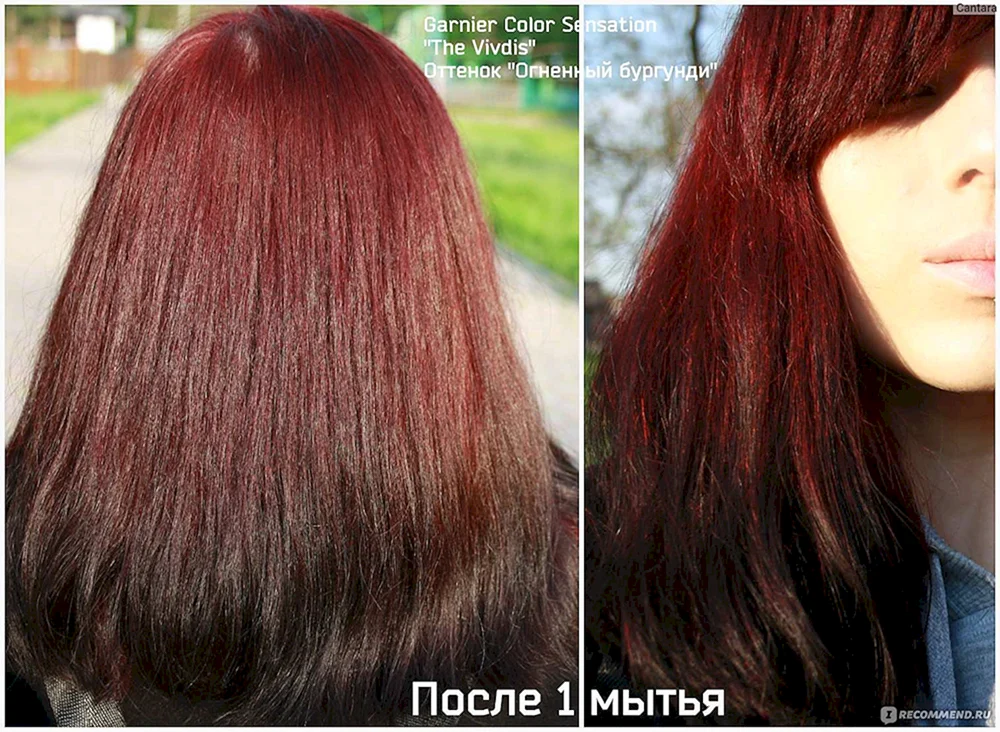 Garnier 5.62