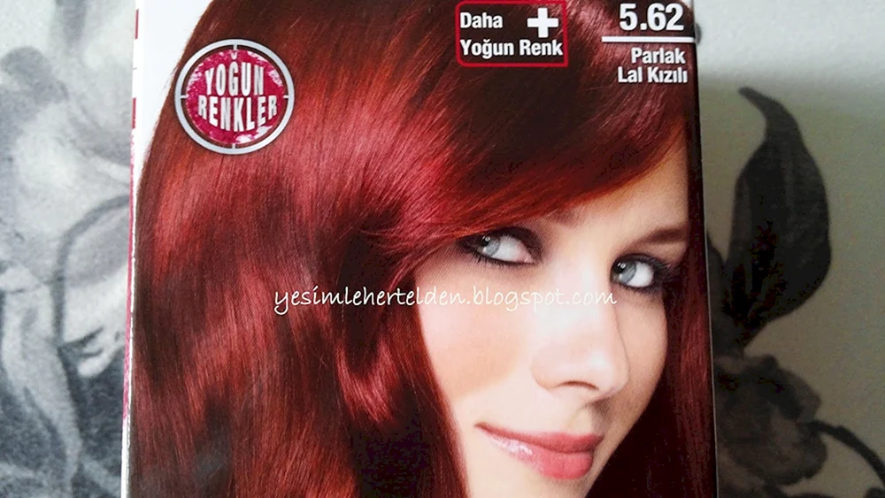 Garnier 5.62