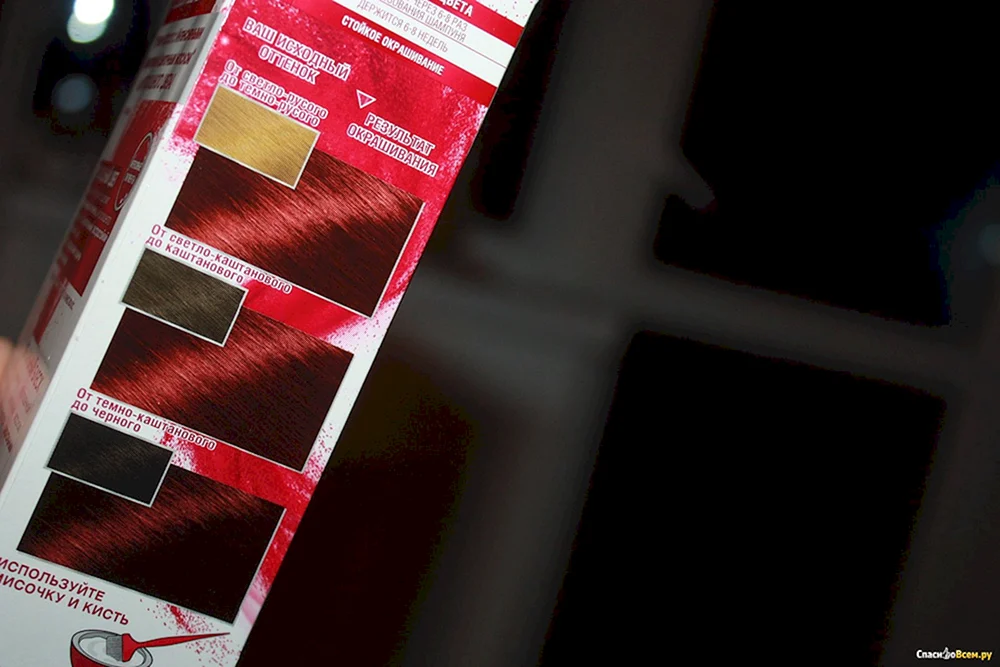 Garnier Color 5.62Garnier Color 5.62 Regal Garnet