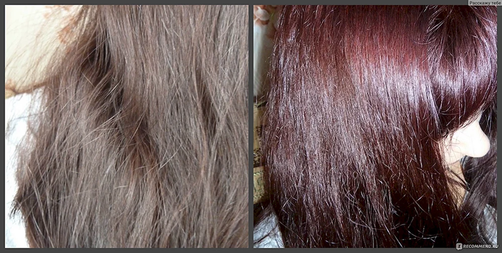 Garnier Royal Garnet