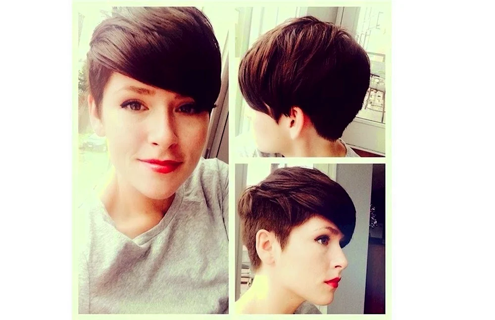 Pixie Bob Haarschnitt