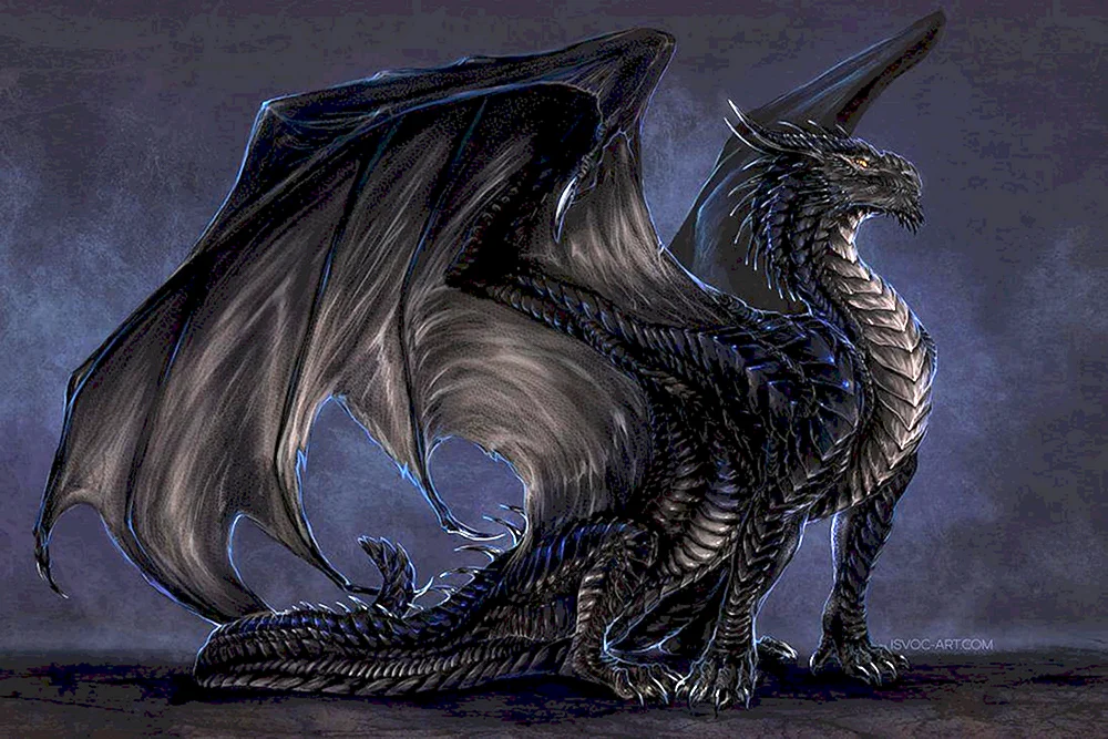 Hebrid schwarzer Drache