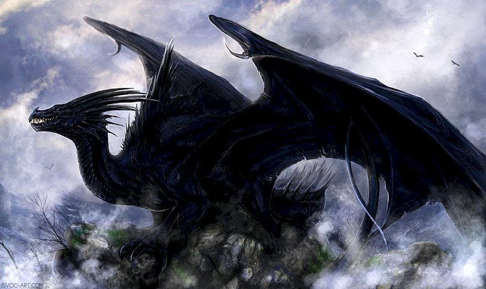 Hebridean black dragon