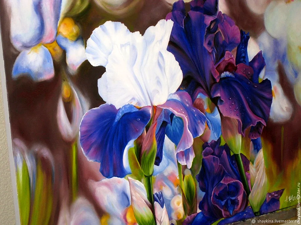 Renoir irises