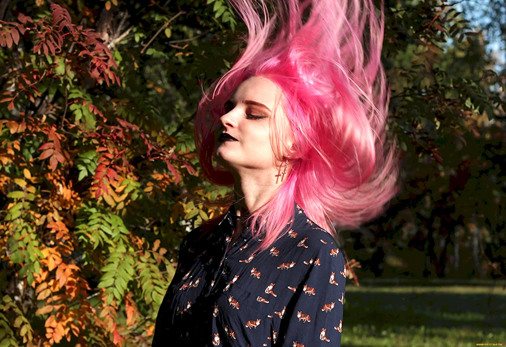 Genshin pinke Haare