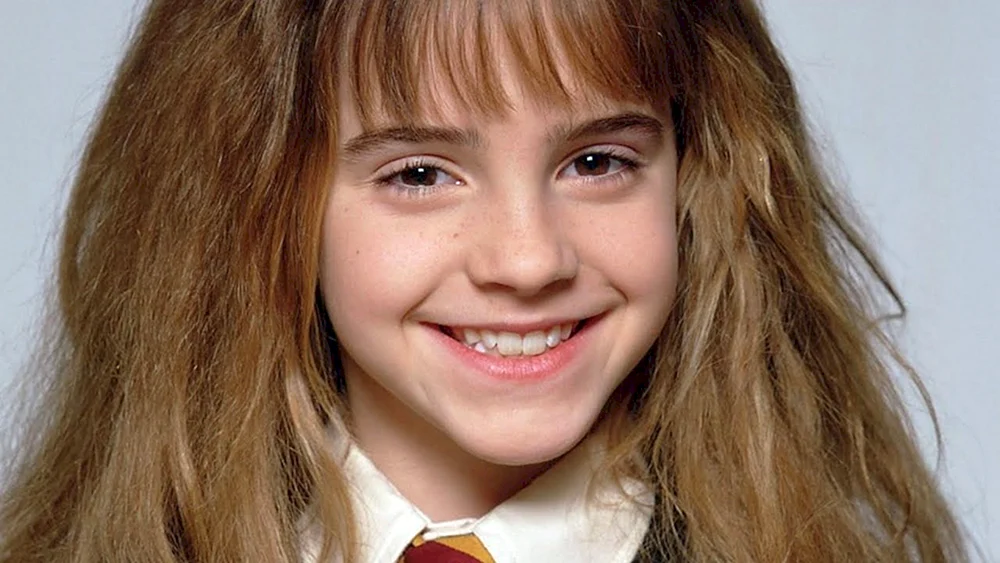 Hermine Granger Stein der Weisen