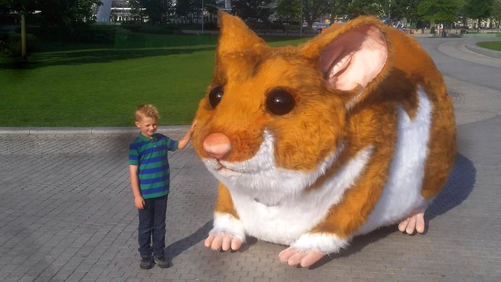 Capybara und Meerschweinchen