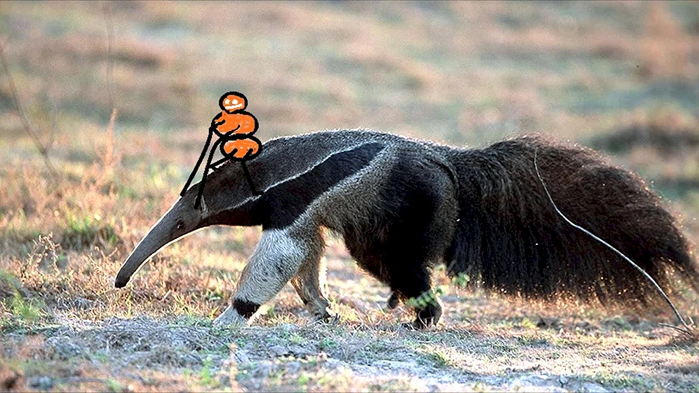Riesenameisenbär von Südamerika