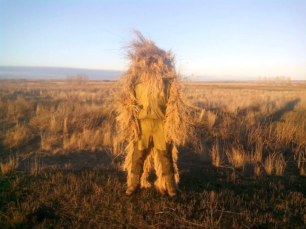 Neprolazhaya Sibirische Taiga Leshy