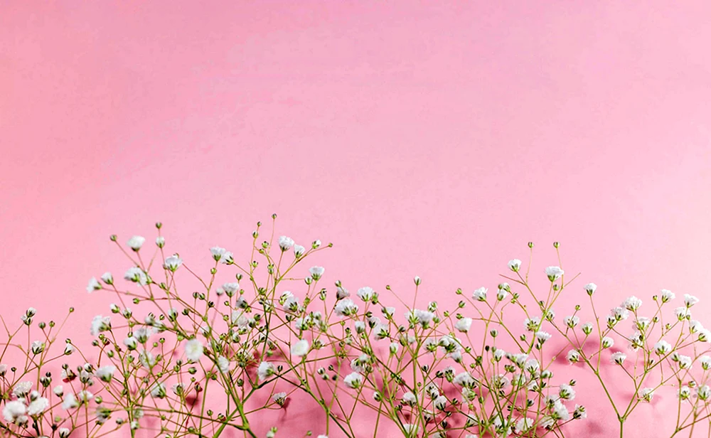 Süße Blumen