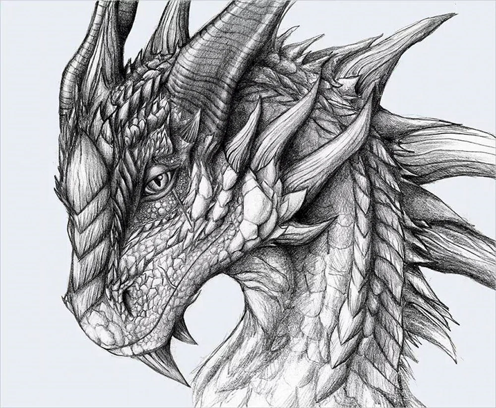 Alvia Alcedo Drachen