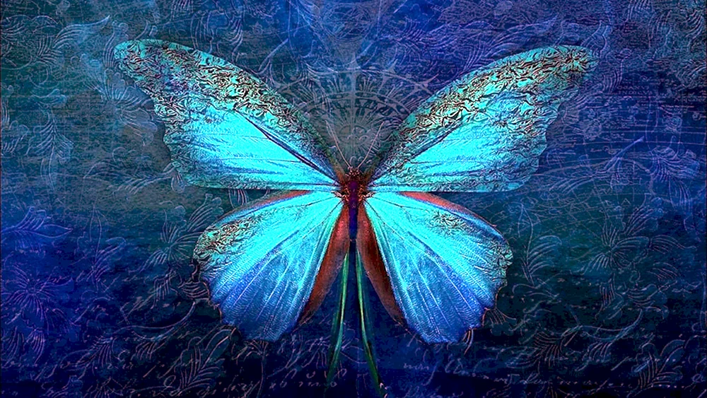 Blaue Schmetterlinge Artyn Schmetterling