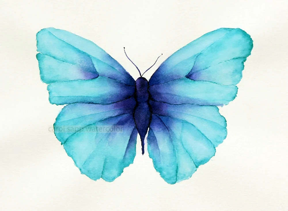 Blauer Schmetterling