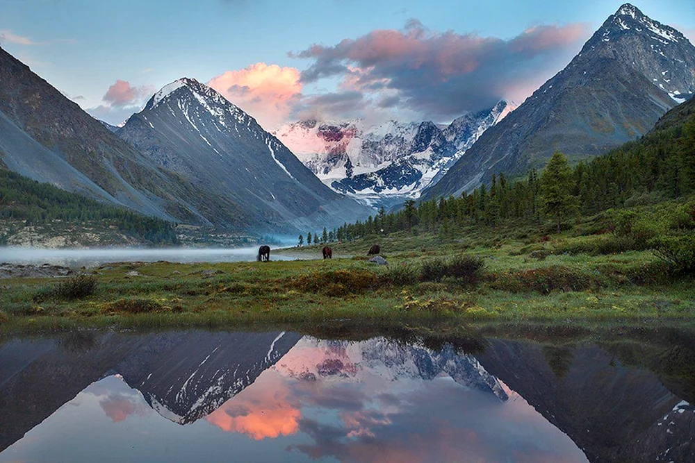 Sitr Altai