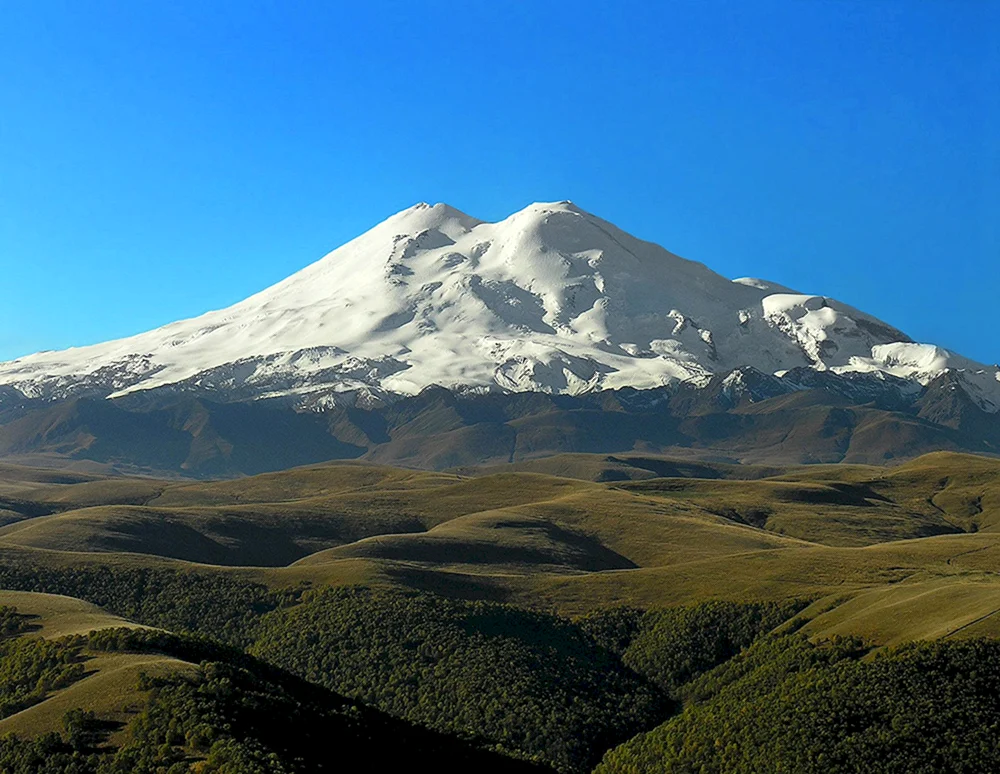 Alpenwiesen des Tian Shan