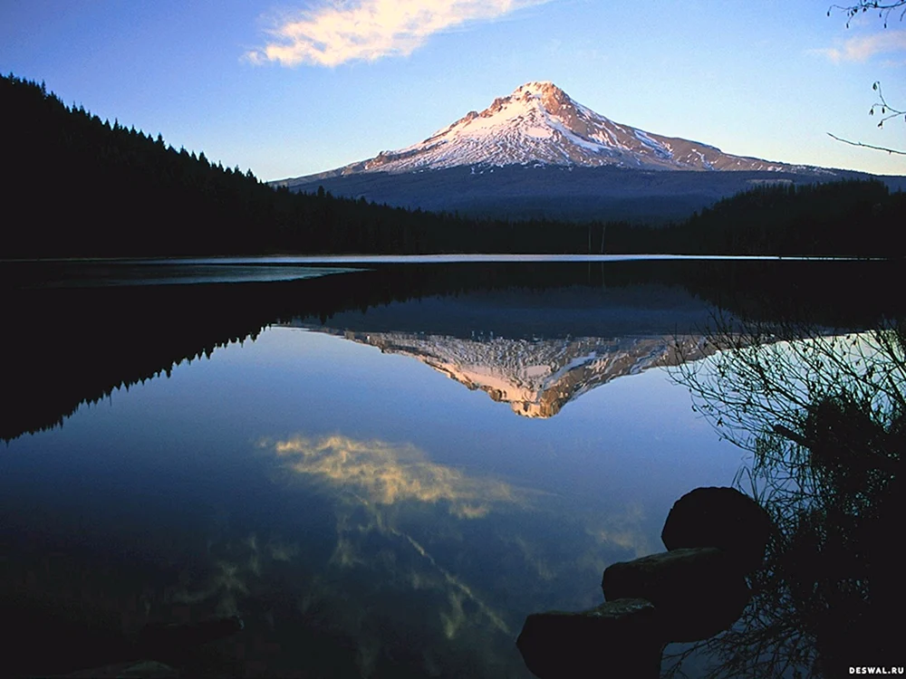 Elephant Mountain Oregon