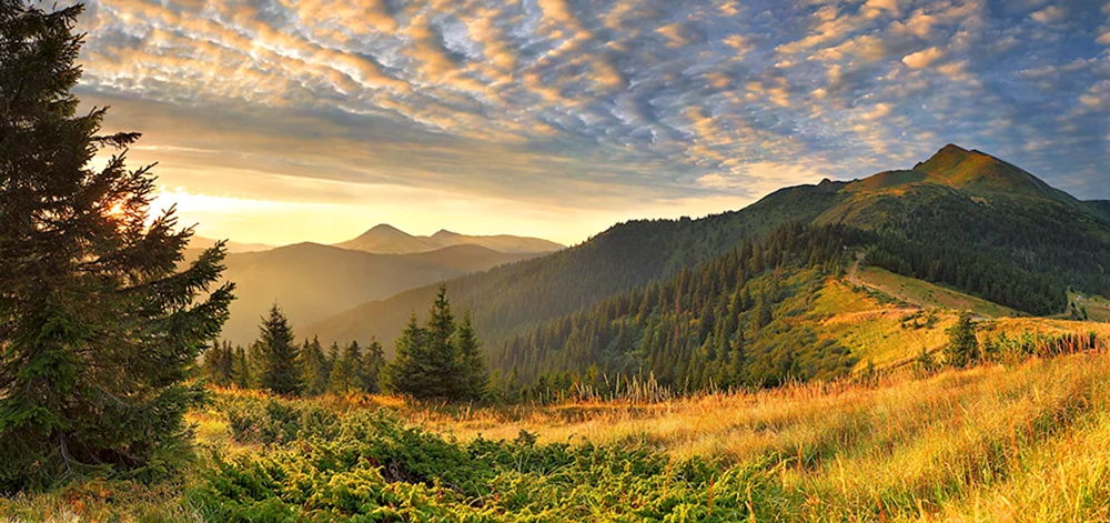 Gora Zlatibor Karpaten