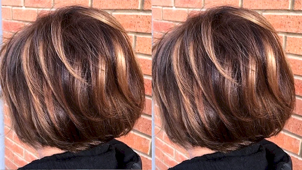 Stufenweise Bare Bob Bare Chestnut
