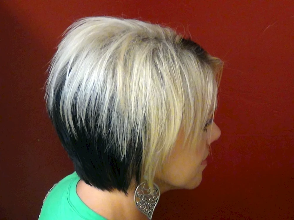Öffentliches Haar