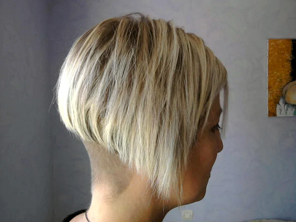 Stufenbob Bob Backcomb