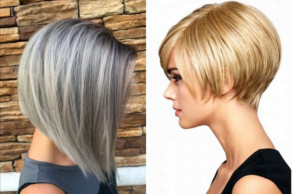 Stufiger Pixie Bob