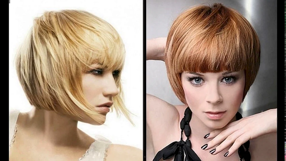 Pixie bob Haarschnitt