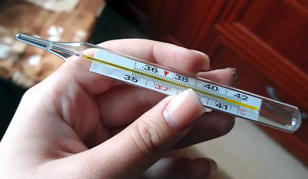Quecksilberthermometer 38.8