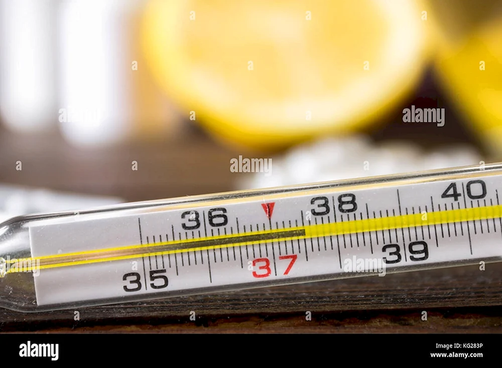 Quecksilberthermometer 38.3