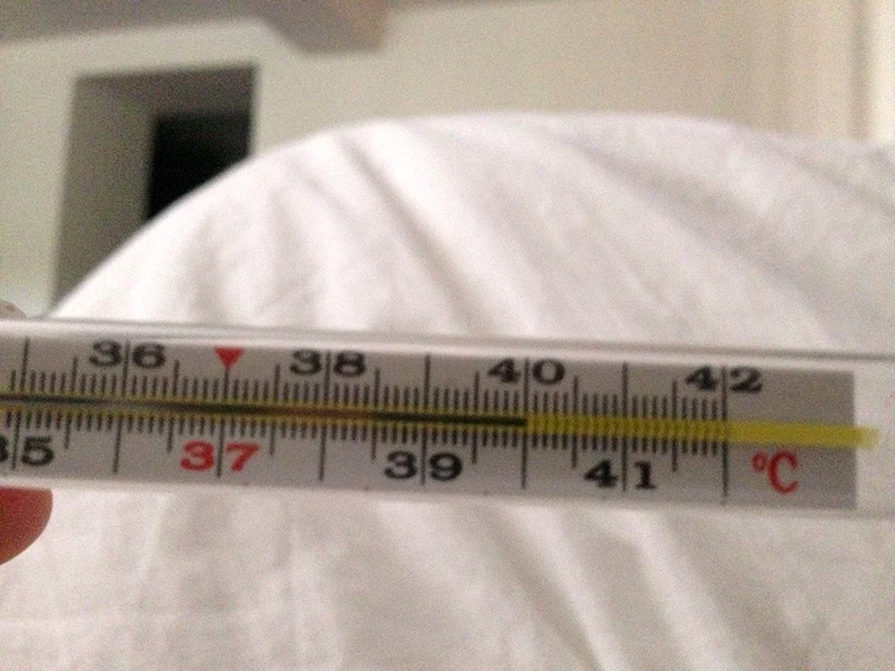 Quecksilberthermometer 38.5