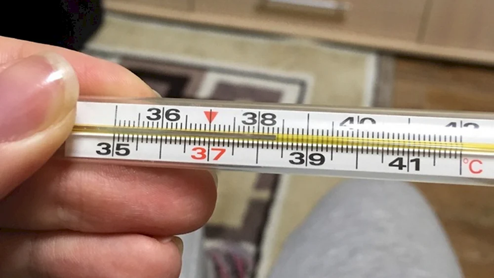 Quecksilberthermometer 38.8