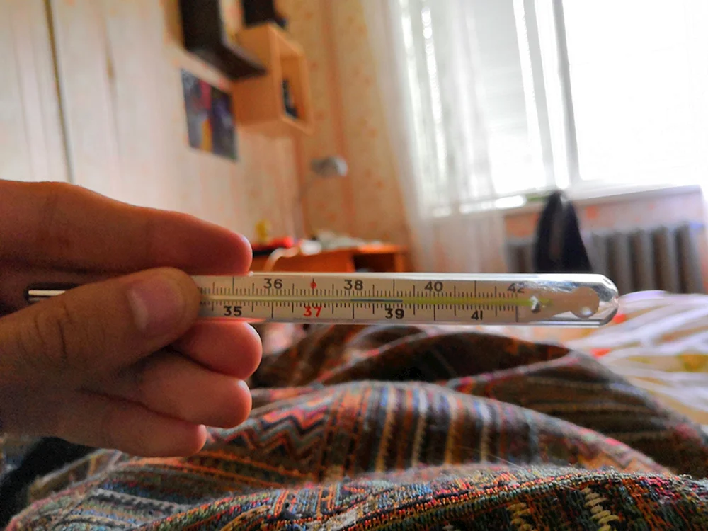 Quecksilberthermometer 39.9