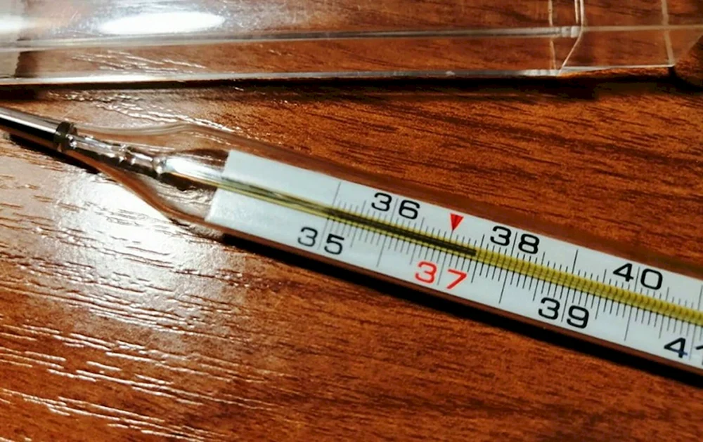 Quecksilberthermometer 38.8