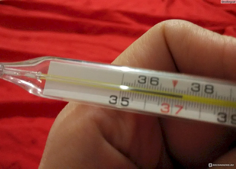 Quecksilberthermometer 38.3