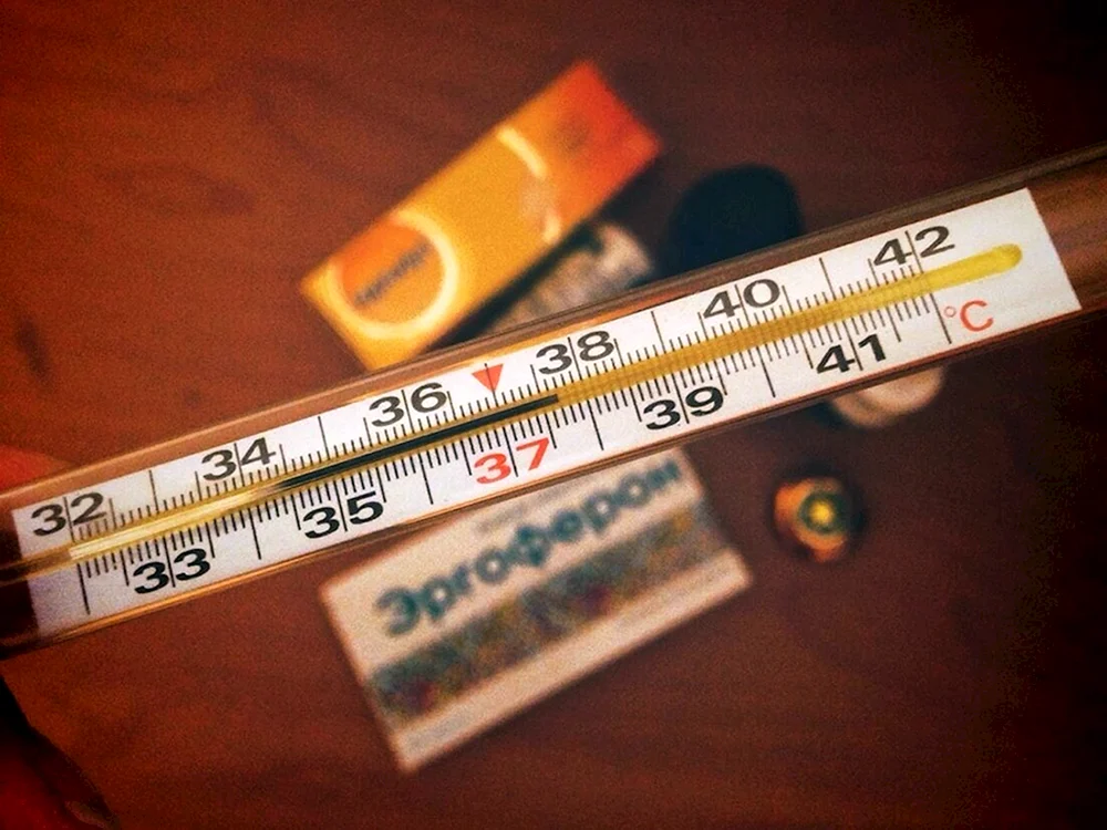 Quecksilberthermometer 38.9
