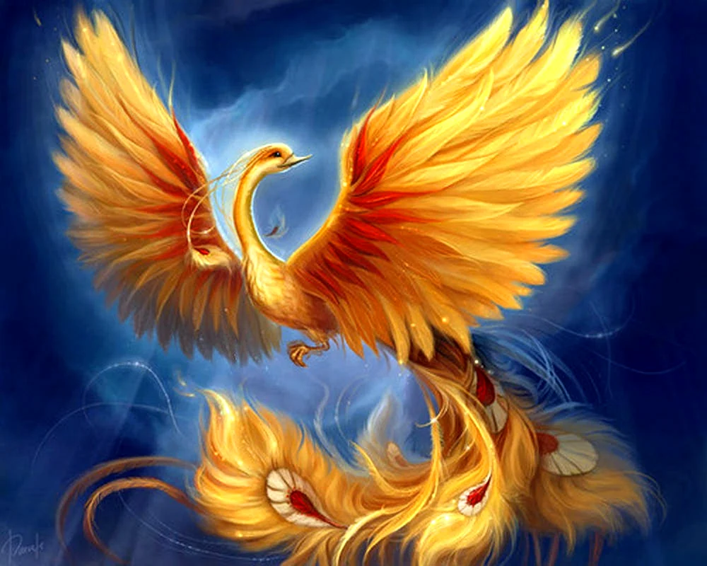 Feuervogel Phönix Diluca