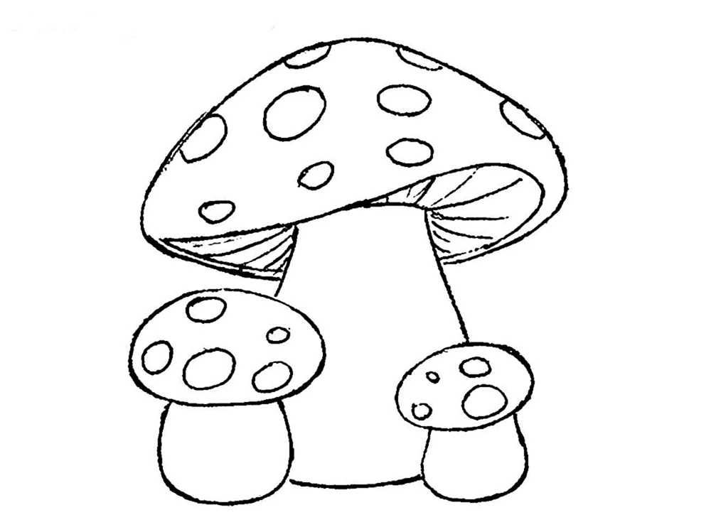Pilze ausmalen