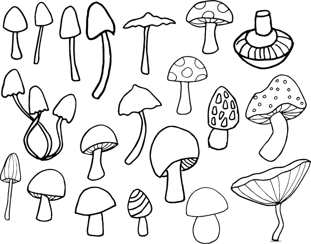 Pilz Ausmalen