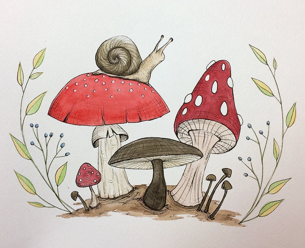 Fliegenpilz zeichnen