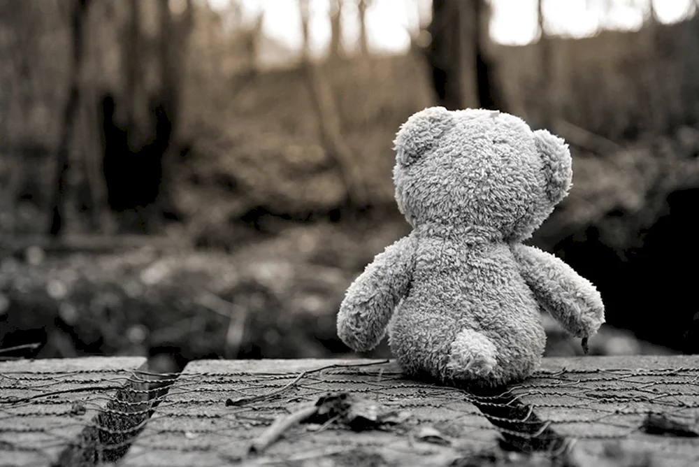 Traurige Bilder