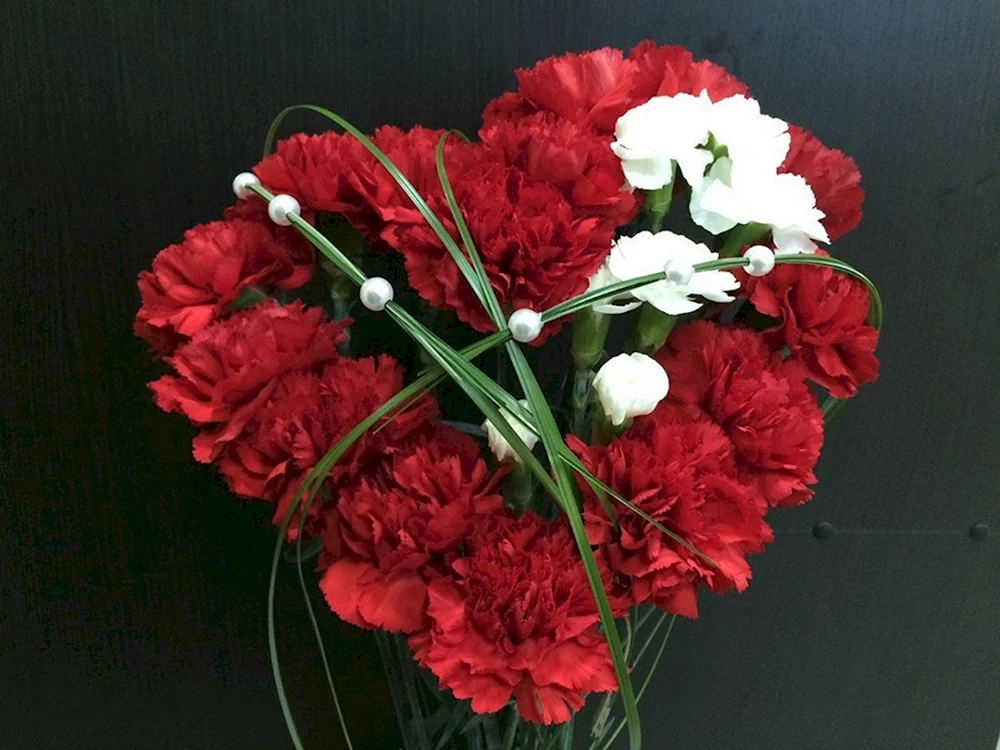 Dianthus-Nelkenstrauß