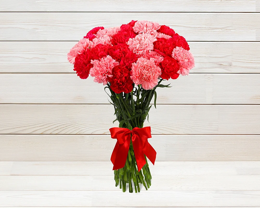 Dianthus-Nelkenstrauß