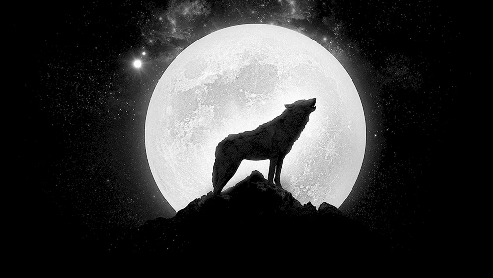 Howling Wolf Musiker