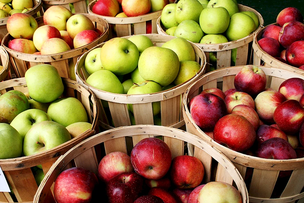 Äpfel rote Äpfel auf dem Tisch