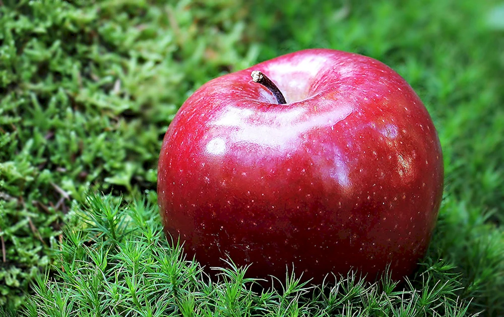 Rote Äpfel