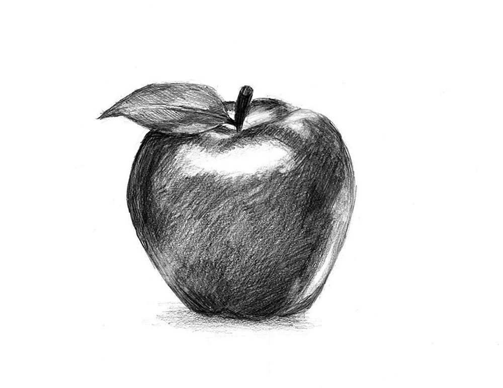 Apfel zeichnen mit Bleistift