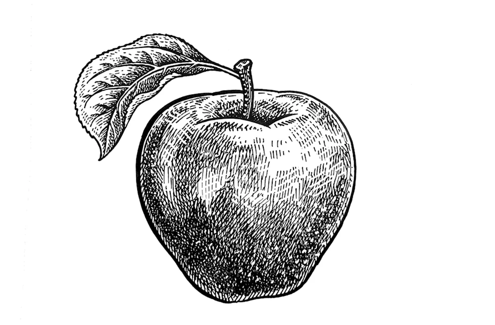 Apfel